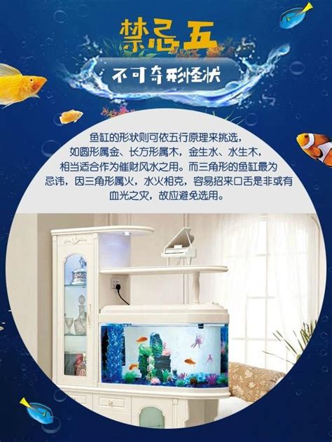 魚缸魚的數量|招財魚缸擺放技巧